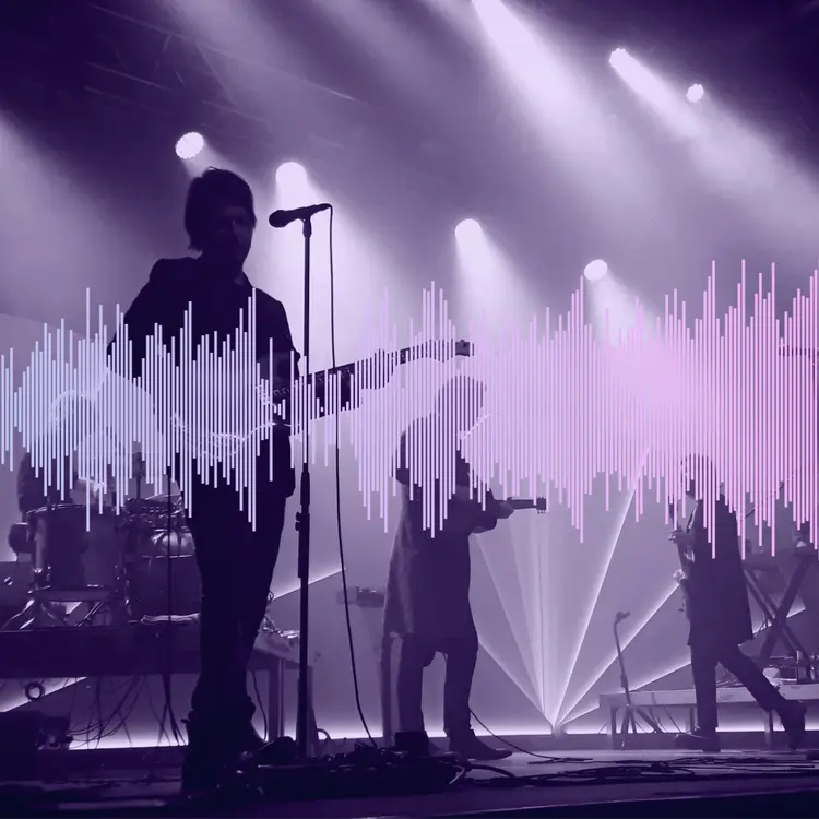 Concert Sound Wave Art Gift